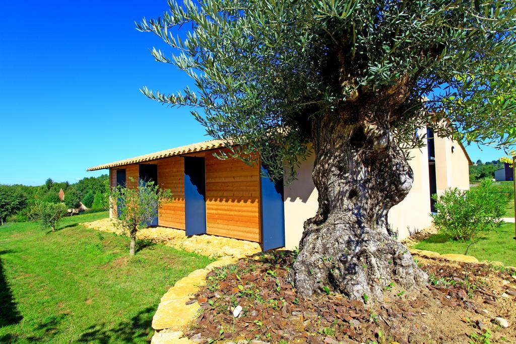 The Originals City, Hotel Albizia, Sarlat-la-Canéda Exteriér fotografie